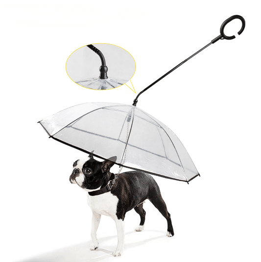 Hot Selling Transparent Pet Adjustable Pet Umbrella